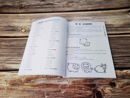 美术入门基础教程——简笔画起步 商品图9