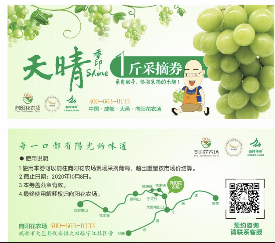 天晴香印葡萄采摘券 1斤