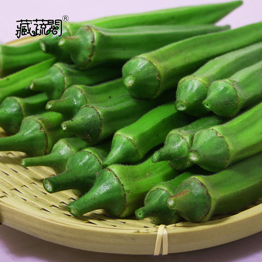 [庭院种子] 黄秋葵种子 "成绿" 商品图1