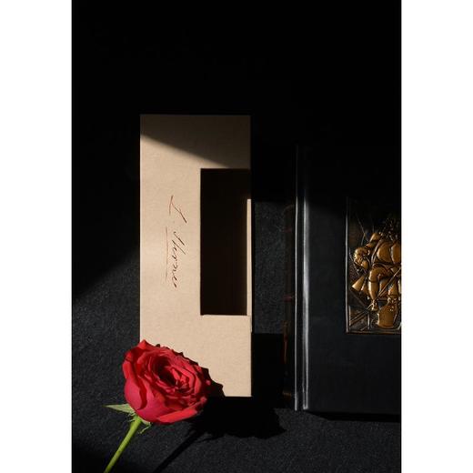 项狄传(插图珍藏本) 商品图4