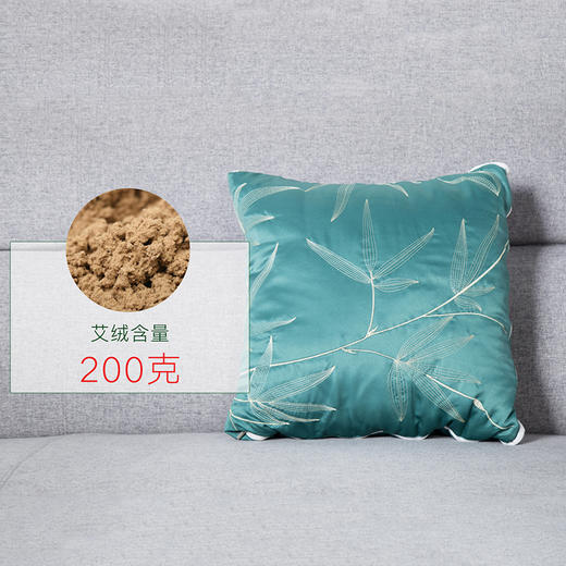 坐着睡着靠着赶跑湿寒的艾绒靠枕被  36*36cm（预计8月份发货） 商品图0