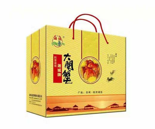 【2025中秋“蟹”礼】湘城阳澄湖大闸蟹 政府认证 自有基地 专注38年 蟹卡礼盒5个套餐任选 商品图0