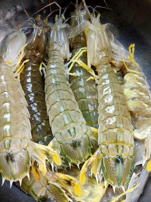 虾菇王，1斤3一4条 商品图1