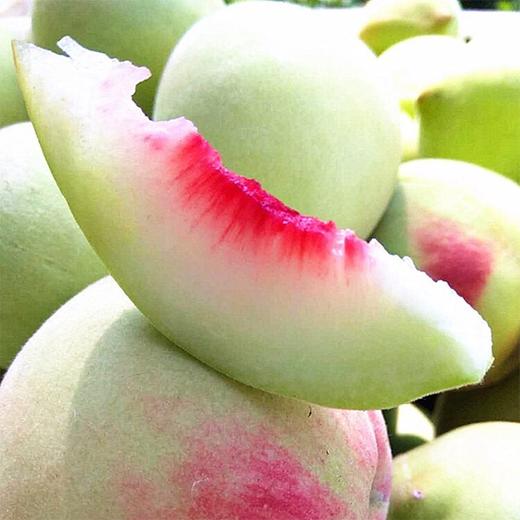 【脆蜜青桃】5斤/箱,脆脆甜甜,恋上儿时的味道