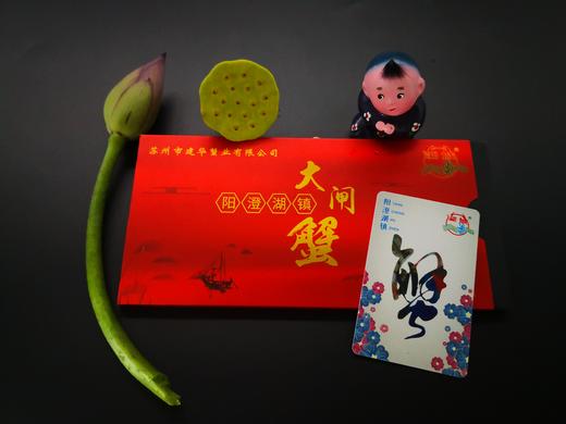 【2025中秋“蟹”礼】湘城阳澄湖大闸蟹 政府认证 自有基地 专注38年 蟹卡礼盒5个套餐任选 商品图1