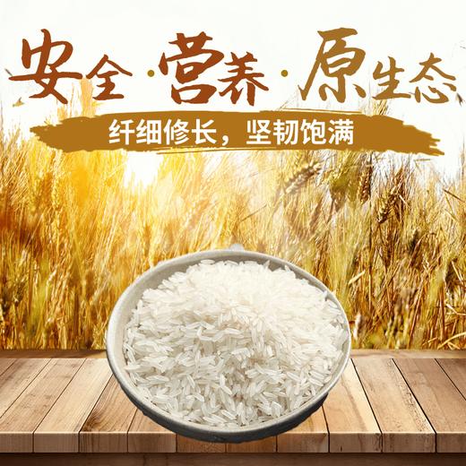 保山施甸   滇鹤丝苗米  25kg/袋 商品图2