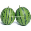 [专业种子] "艳铃"西瓜种子 商品缩略图0
