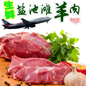 【国yan品质】宁夏·盐池滩羊 国yan品质 现吃现宰 冷链空运 更新鲜 送礼更有面儿