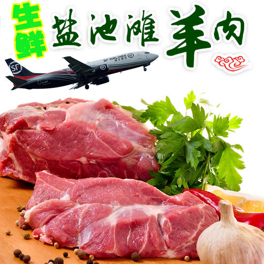 【国yan品质】宁夏·盐池滩羊 国yan品质 现吃现宰 冷链空运 更新鲜 送礼更有面儿 商品图0