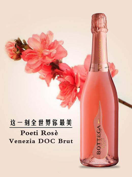 波特嘉·诗人威尼斯粉起泡酒Bottega Poeti Rosè Venezia DOC Spumante Brut 商品图0