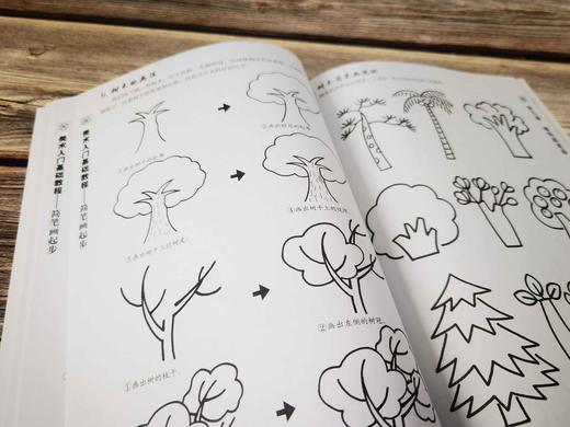 美术入门基础教程——简笔画起步 商品图2