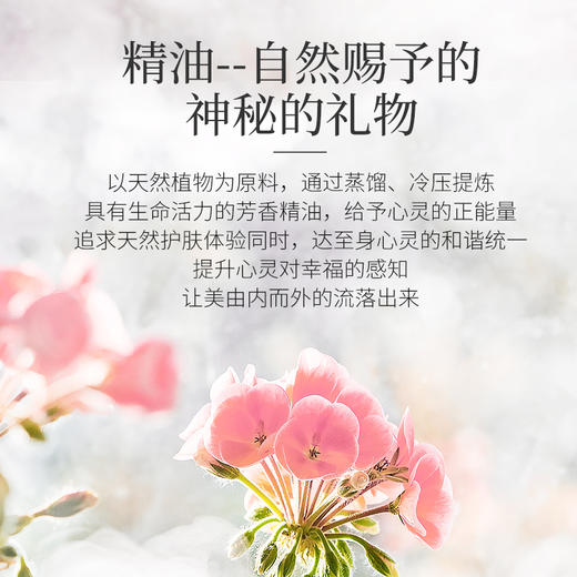 【平衡水油】嘉媚乐天竺葵精油10ml 商品图1