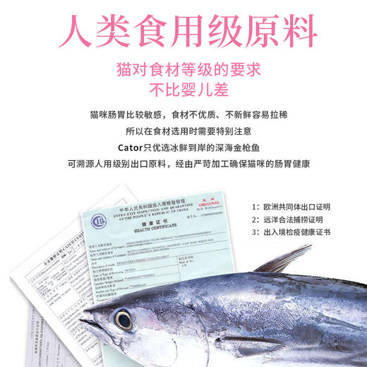 喵彩七日罐 大目金枪鱼系列 金枪鱼+6种海鲜混合 80gx7罐 喵咪零食罐头 大块金枪鱼吃着更放心 商品图1