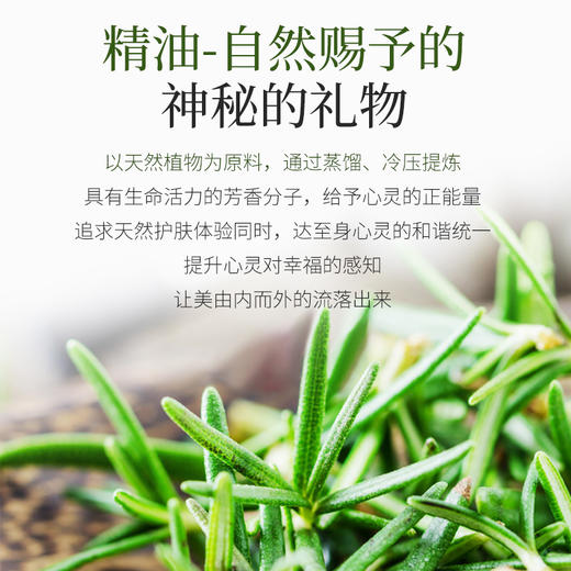 嘉媚乐迷迭香精油10ml 商品图2