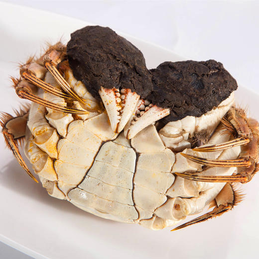 【2025中秋“蟹”礼】湘城阳澄湖大闸蟹 政府认证 自有基地 专注38年 蟹卡礼盒5个套餐任选 商品图3