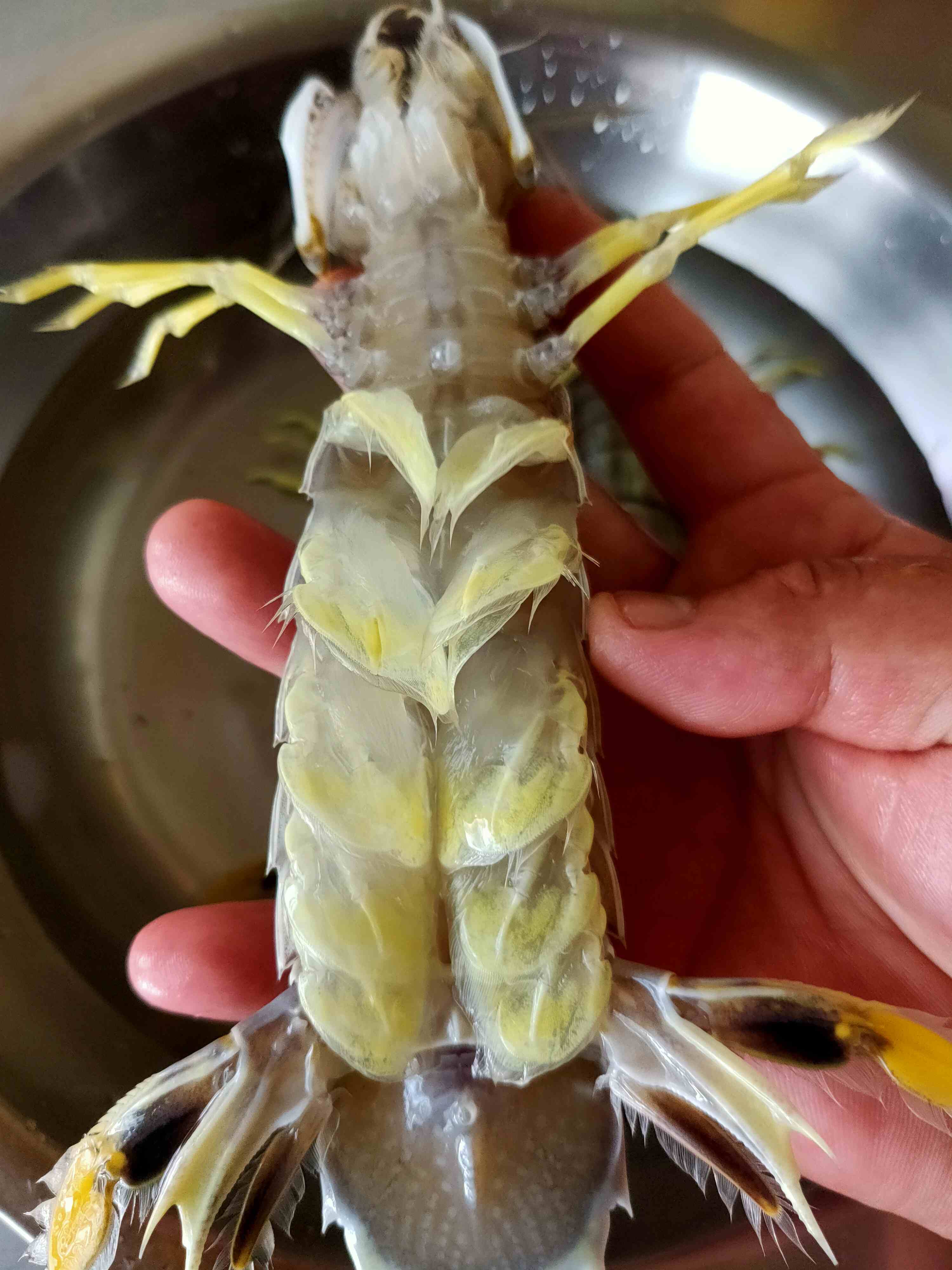 美辉龙海鲜马王堆总店