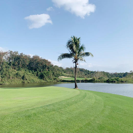 海南保亭七仙岭温泉高尔夫俱乐部 Hainan Baoting Qixianling Golf Club |  保亭高尔夫球场 | 海南高尔夫球场 | 中国 商品图3