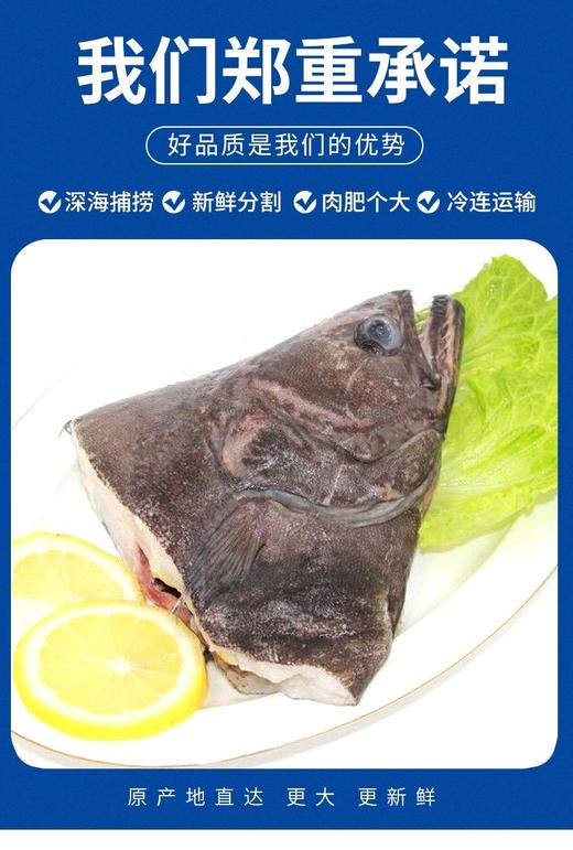 中号鸦片鱼头650克/只 商品图1