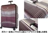 带有TSA Lock深槽框架Crom Cruach的BB Monsters手提箱 商品缩略图3