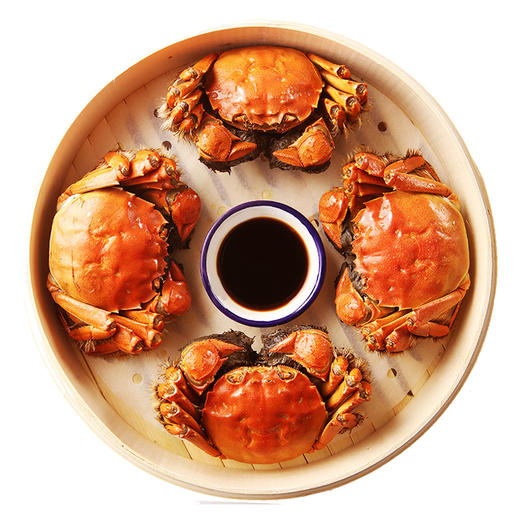 【2025中秋“蟹”礼】湘城阳澄湖大闸蟹 政府认证 自有基地 专注38年 蟹卡礼盒5个套餐任选 商品图5