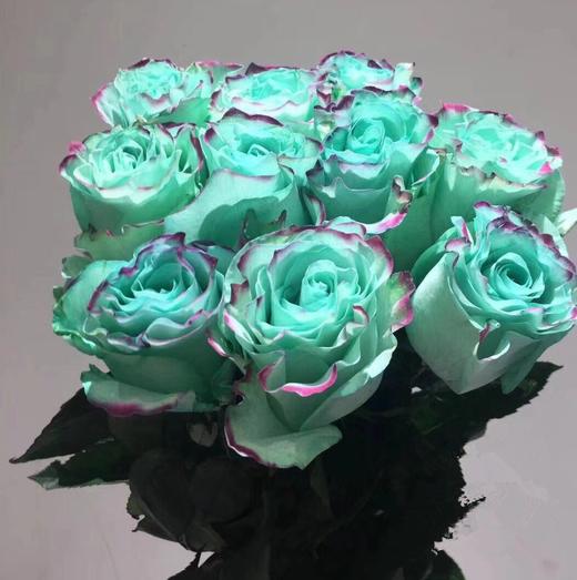 厄瓜多尔薄荷玫瑰10支送配草2份自行备注配草没备注随机发