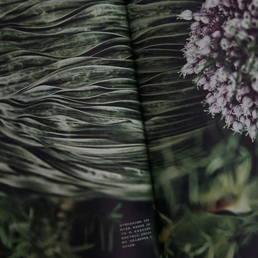 则武的花艺秘谱 则武润二 等著 生活美学园艺 日本花艺隐士 时尚 图书 商品图3