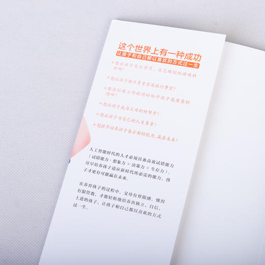 有限管教 如何培养独立、自信、上进的孩子 商品图9