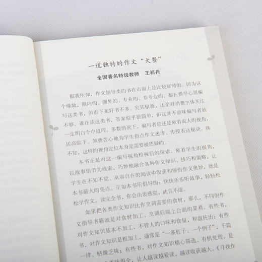 寻找作文王国（写作技巧篇） 商品图10