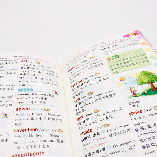 小学生全功能英汉汉英大全 青苹果系列新版 新课标部编版 小学生全功能图解工具书 正版全彩教辅 华东师范大学出版社 商品图3