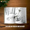 【人与自然相处】信谊原创图画书系列:雪鹿 3-6岁精装绘本幼儿园小学阅读本亲子阅读早教启蒙图画书自然保护晚安故事书经典书籍 商品缩略图1