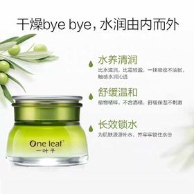 一叶子橄榄芽鲜补水保湿霜50g-4518