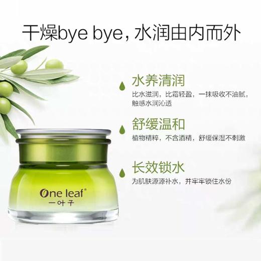 一叶子橄榄芽鲜补水保湿霜50g-4518 商品图0