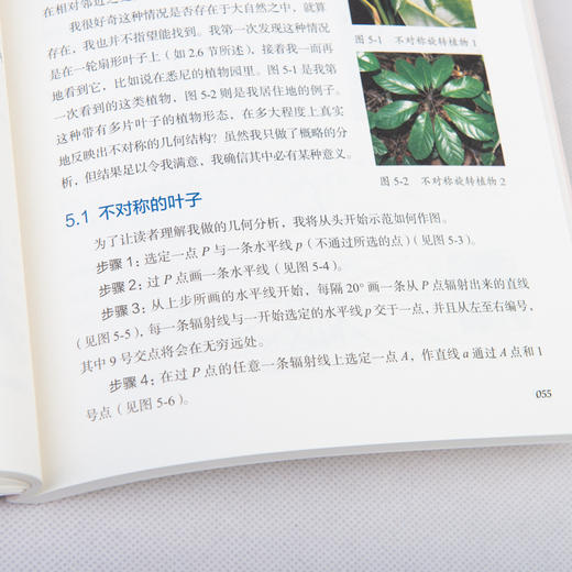 数学也可以这样学 大自然中的几何学 商品图13