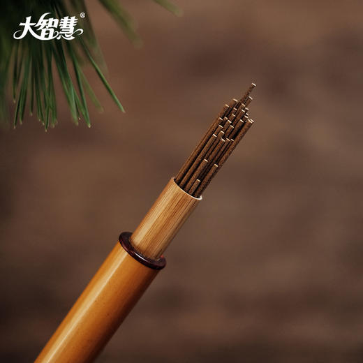 【大智慧】711龙涎芽庄虎斑黑油沉香 商品图2