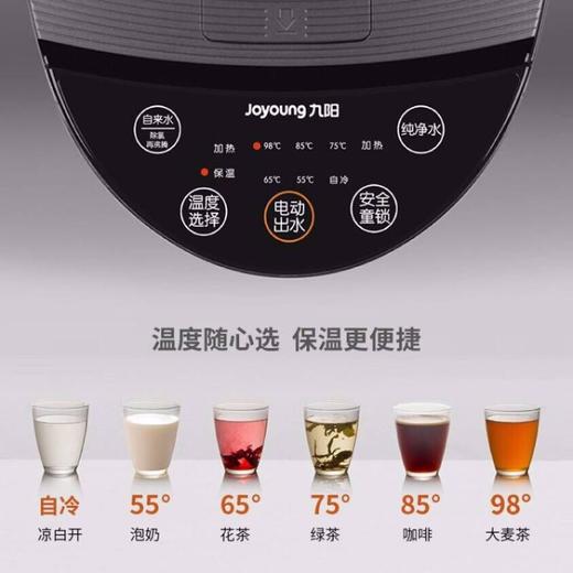 九阳电热开水瓶K50-P11 商品图2