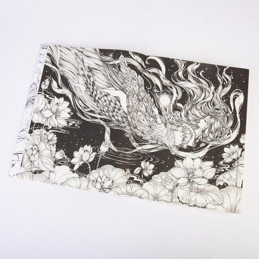 花见 唯美黑白线稿手绘专业技法 商品图12