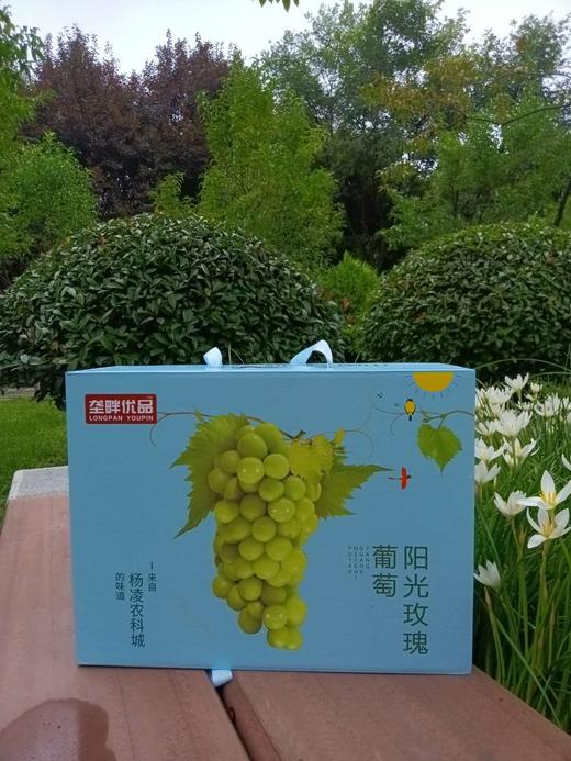 垄畔优品阳光玫瑰葡萄 商品图1