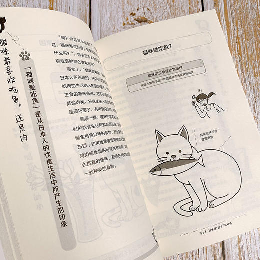 看图读懂猫咪心理 商品图6