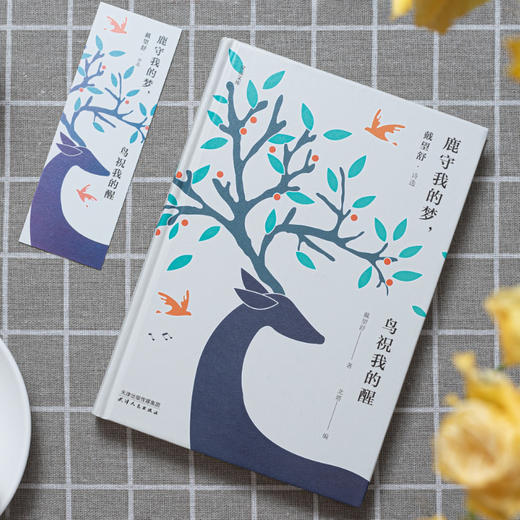 《鹿守我的梦，鸟祝我的醒：戴望舒诗选》| 他的诗写得好，翻译得更好，读中国新诗，不可错过戴望舒！ 商品图3