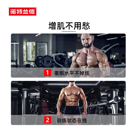 蓝魔睾酮 ZMA牡蛎片锌镁硒片男士精氨酸 健身荷尔蒙   恢复精力 商品图4