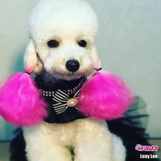 半持久宠物染色剂-玫红色Shocking Pink OPAWZ小爪印 商品图10