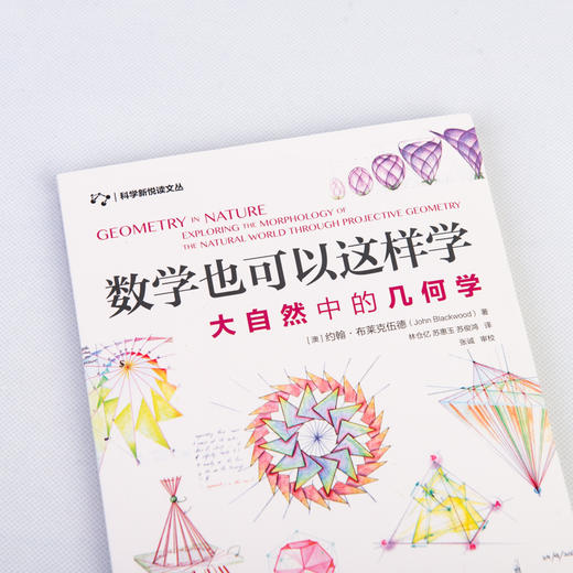 数学也可以这样学 大自然中的几何学 商品图2