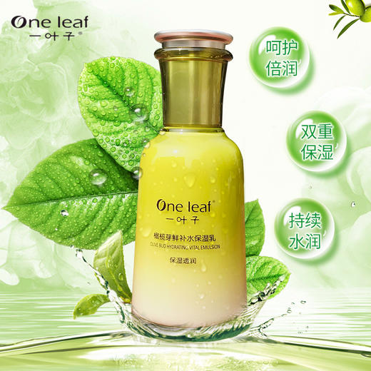 一叶子橄榄芽鲜补水保湿乳120ml-4501新老包装随机发 商品图2
