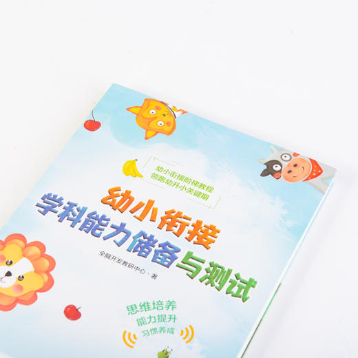 幼小衔接学科能力储备与测试 商品图2