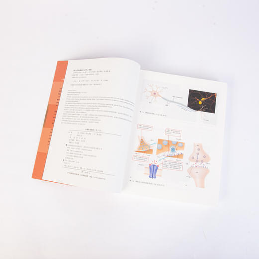 心理学与我们 第2版 商品图9