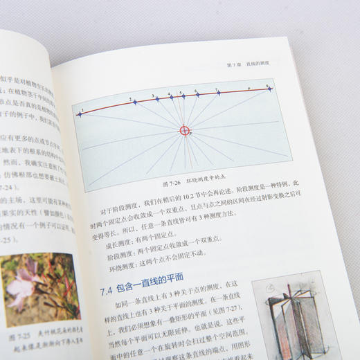 数学也可以这样学 大自然中的几何学 商品图14