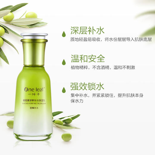 一叶子橄榄芽鲜补水保湿乳120ml-4501新老包装随机发 商品图3