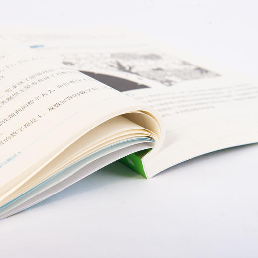 幼小衔接学科能力储备与测试 商品图14