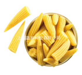 [专业种子]  “玉笋55”玉米笋种子 北方区域不建议种植