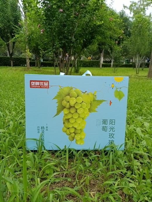 垄畔优品阳光玫瑰葡萄 商品图0